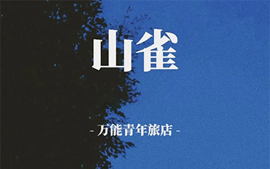山雀吉他谱_封面