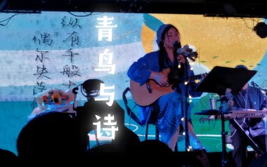 青鸟与诗吉他谱