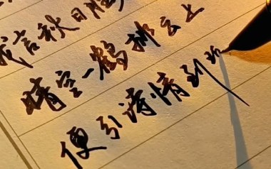 予你情诗吉他谱_封面