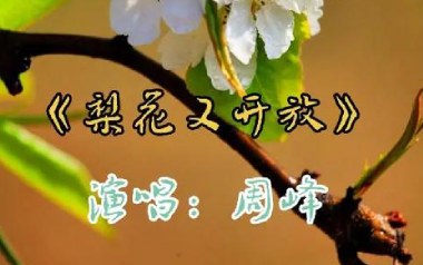 梨花又开放吉他谱_封面