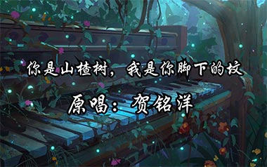你是山楂树我是你脚下的坟吉他谱_封面