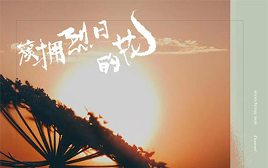簇拥烈日的花吉他谱_封面