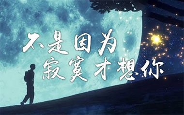 不是因为寂寞才想你吉他谱