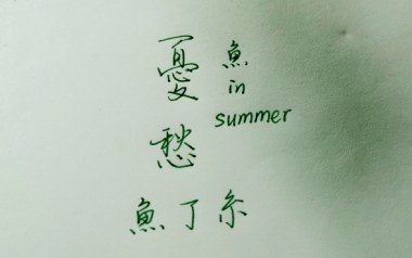 忧愁吉他谱_封面