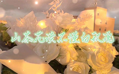 山茶花读不懂白玫瑰吉他谱