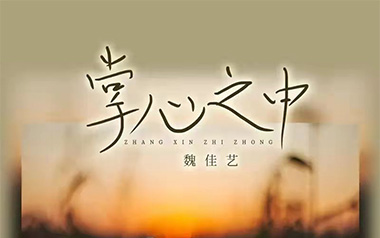 掌心之中吉他谱_封面