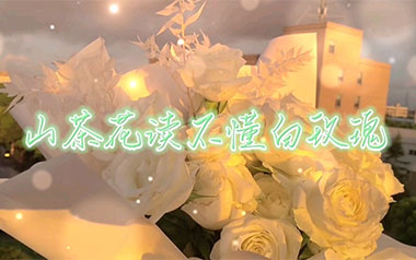 山茶花读不懂白玫瑰吉他谱_封面