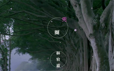 兜圈吉他谱_封面