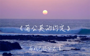 蒲公英的约定吉他谱_封面