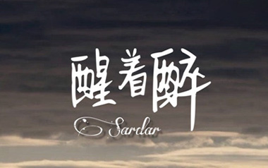 醒着醉吉他谱_封面