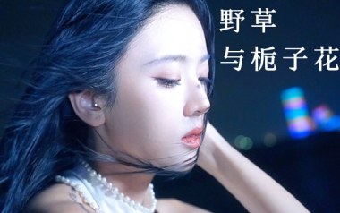 野草与栀子花吉他谱