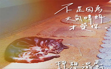 不是因为天气晴朗才爱你吉他谱_封面