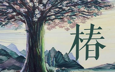 椿吉他谱