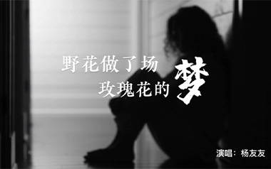 野花做了场玫瑰花的梦吉他谱_封面