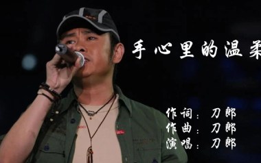 手心里的温柔吉他谱_封面
