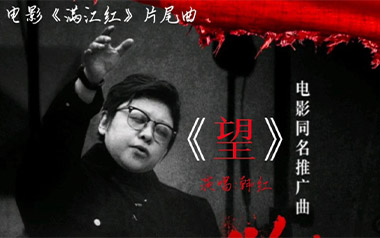 望吉他谱_封面