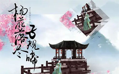 杨花落尽子规啼吉他谱_封面