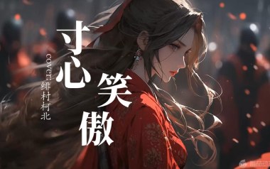 寸心笑傲吉他谱_封面