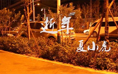 逝年吉他谱