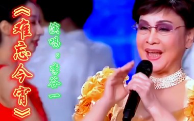 难忘今宵吉他谱