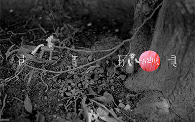 小翅膀吉他谱