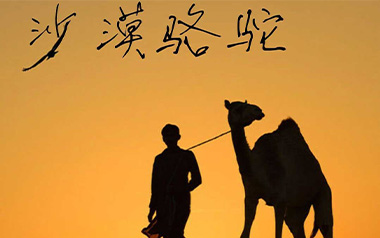 沙漠骆驼吉他谱
