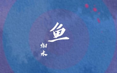 鱼吉他谱_封面