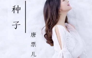 种子吉他谱_封面