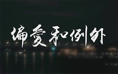 偏爱和例外吉他谱_封面