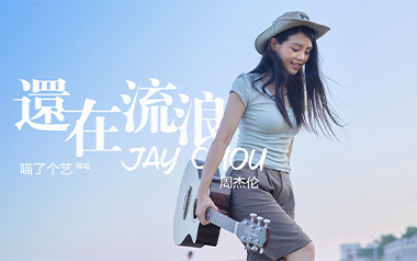 还在流浪吉他谱_封面
