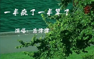 一半疯了一半算了吉他谱_封面