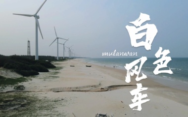 白色风车吉他谱_封面