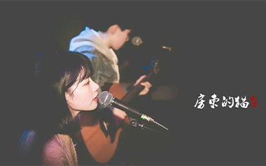 你是我最愚蠢的一次浪漫吉他谱_封面