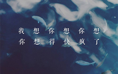 想你想疯了吉他谱_封面