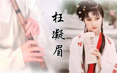 枉凝眉指弹吉他谱