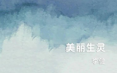 美丽生灵吉他谱_封面