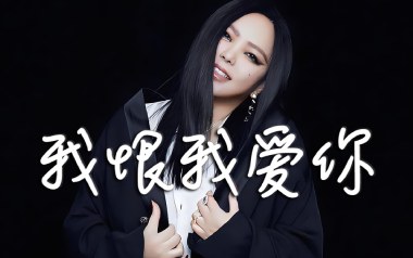 我恨我爱你吉他谱_封面