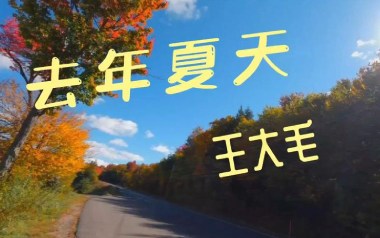 去年夏天吉他谱