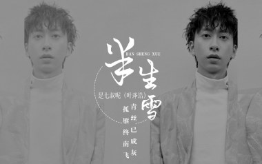 半生雪吉他谱_封面