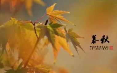 暮秋指弹吉他谱_封面
