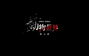 动物世界吉他谱_封面