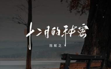 十二月的秘密吉他谱_封面