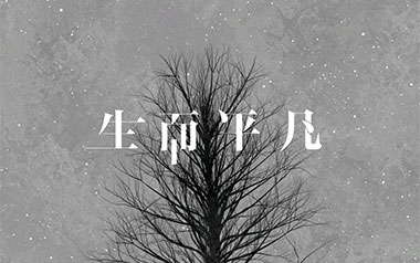 生而平凡吉他谱_封面