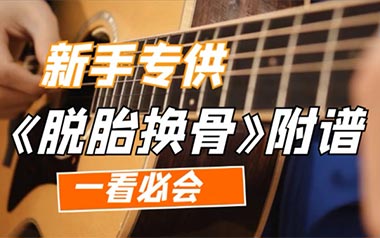 脱胎换骨吉他谱_封面