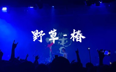野草吉他谱