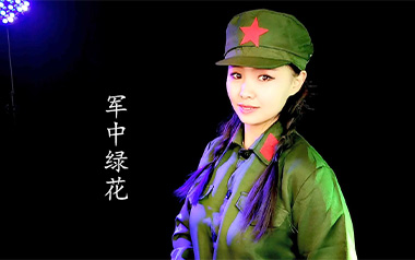军中绿花吉他谱_封面