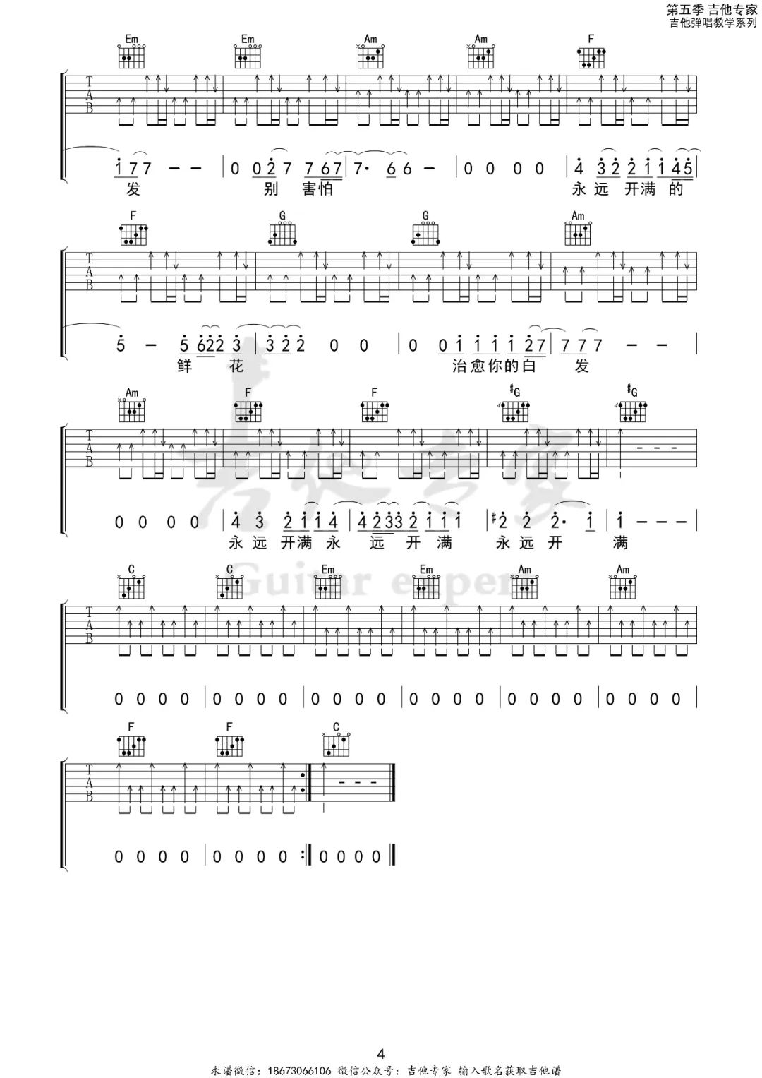鲜花吉他谱_4
