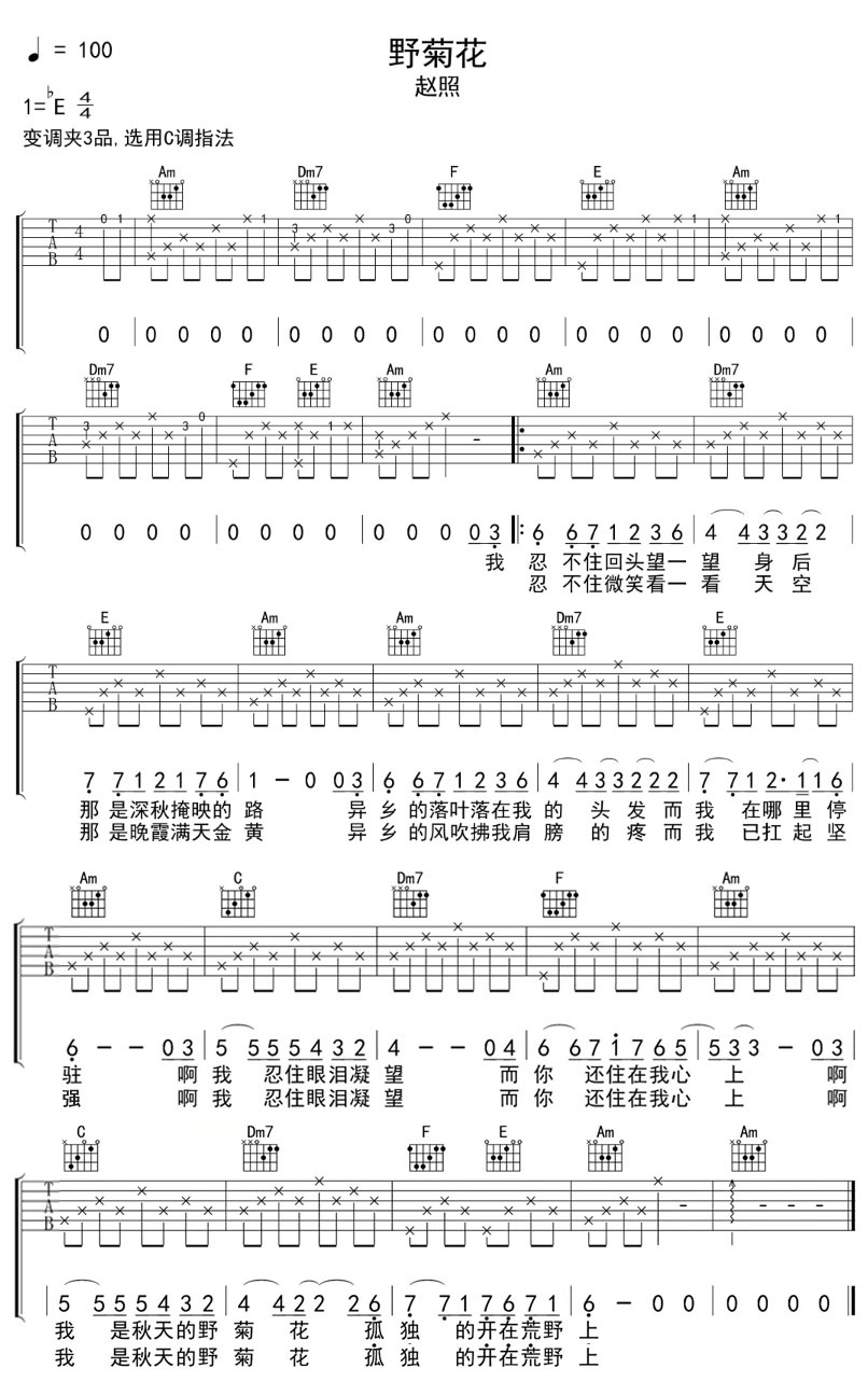 野菊花吉他谱_1