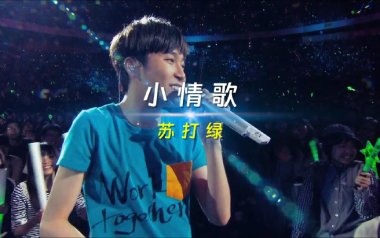 小情歌吉他谱_封面