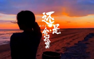 还是会寂寞吉他谱